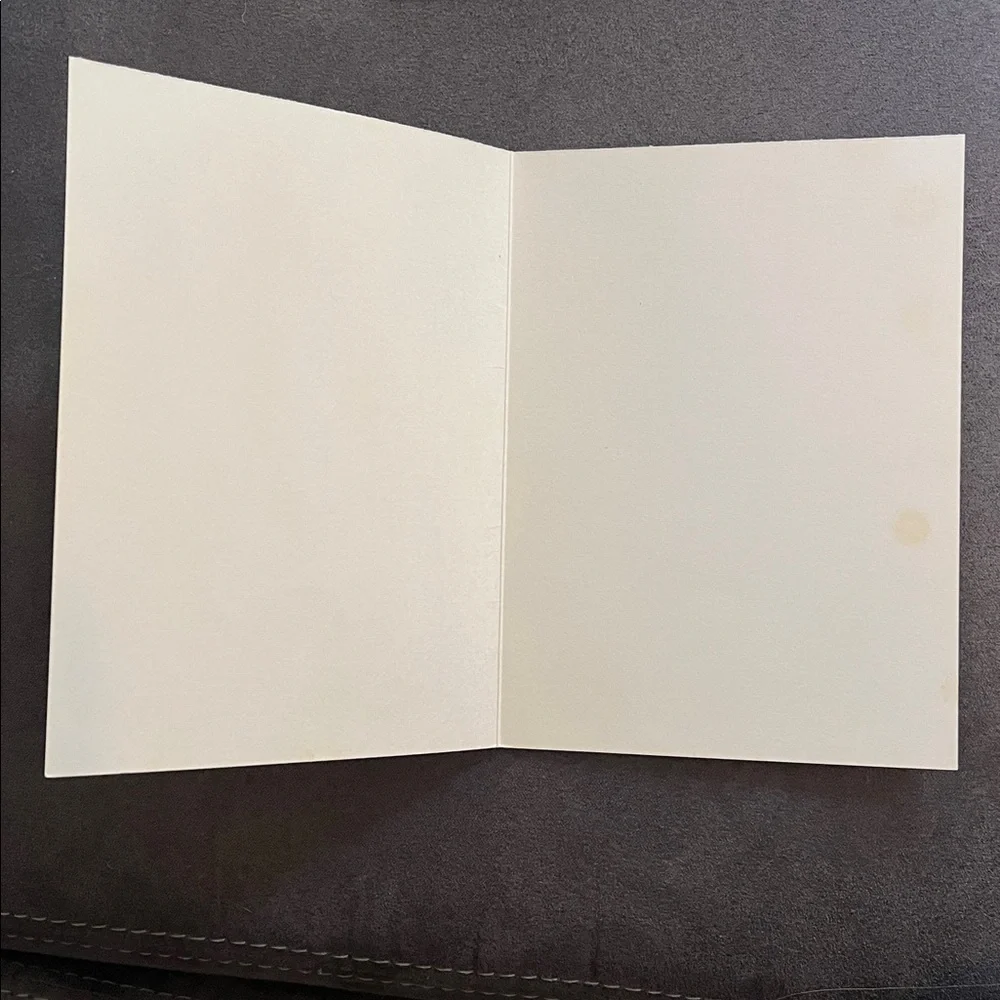 WHITE DOVE, BEAUTIFUL BURDEN De Grazia Note Cards Stationery Unused, Envelopes